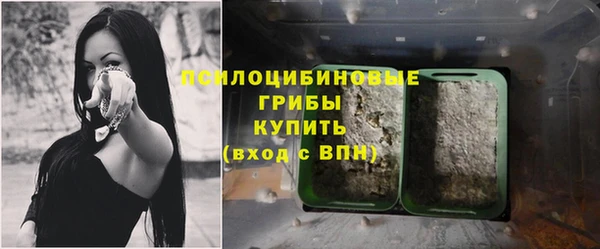 гашик Белокуриха