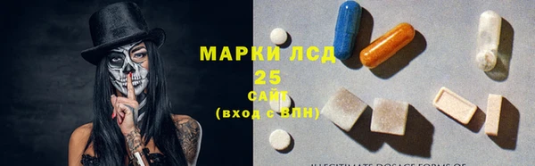 шишки Беломорск
