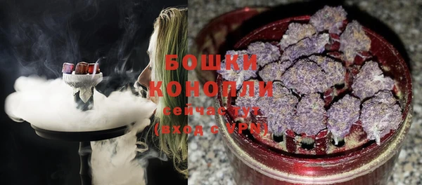 молекула духа Балахна