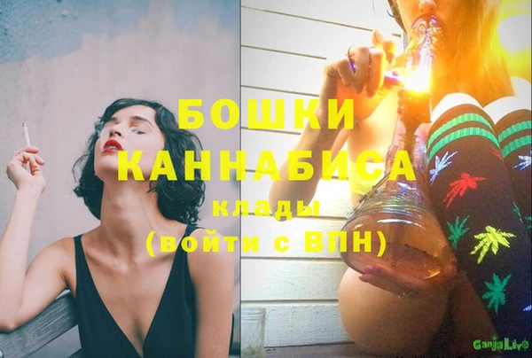 молекула духа Балахна
